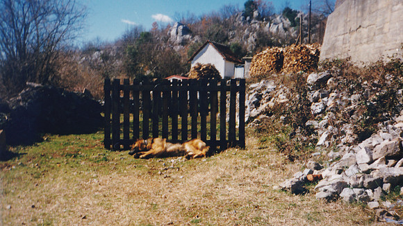 Krenza-0088