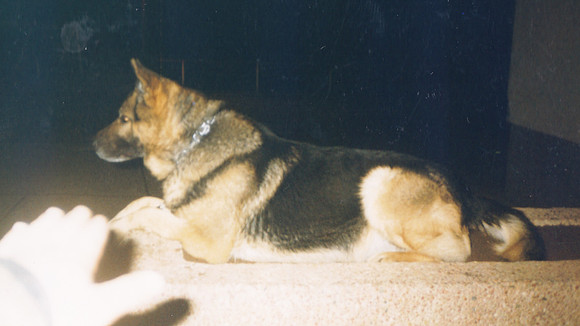 Krenza-0091