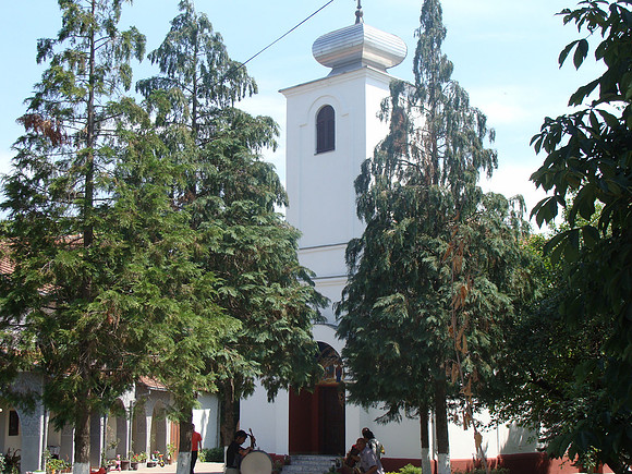 DSC01547 (2)