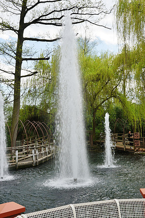 DSC04299