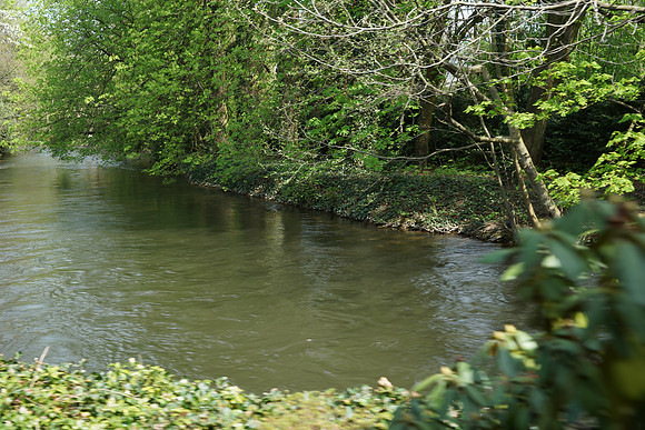 DSC04407