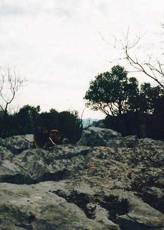 Krenza-0056