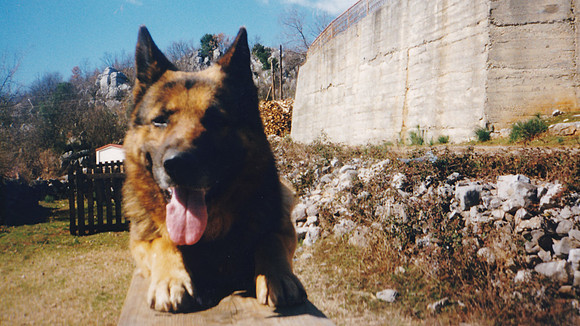 Krenza-0087