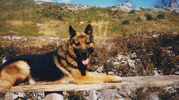 Krenza-0089