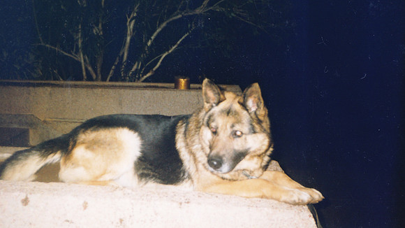 Krenza-0093